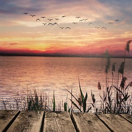 Fewo Erholsame Auszeit Neubrandenburg Buitenkant foto